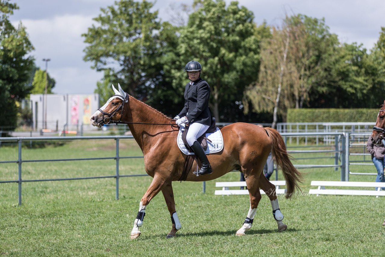 Bild 3 - Pony Akademie Turnier